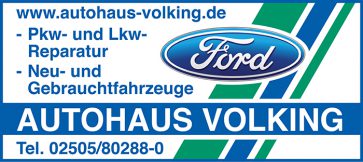 Autohaus Volking GmbH & Co. KG